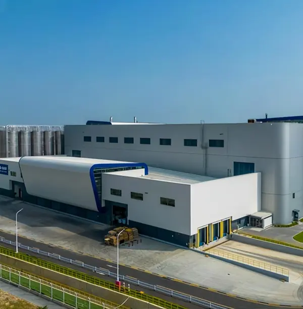 Projet BASF à Zhanjiang, Chine